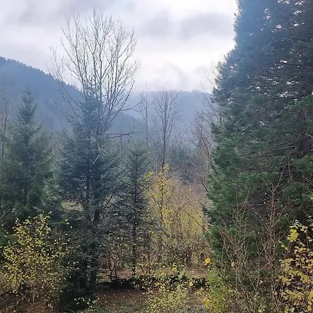 Le Dahu-calm-jacuzzi-free Parking Lot Chalet La Bresse