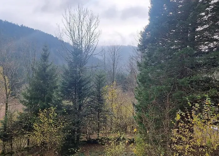 Le Dahu-calm-jacuzzi-free Parking Lot Horská chata La Bresse